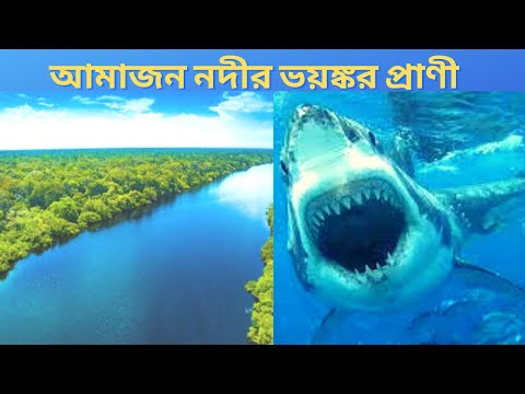 অ্যামাজন নদীর ১০টি প্রাণী  Amazon River animals  অজানা কে জানতে হবে in you tube.