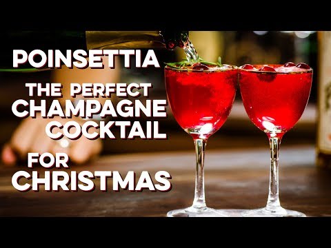 poinsettia-|-how-to-drink