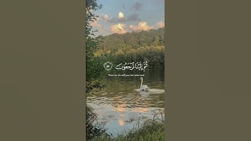 تلاوة هادئة 🍉🤍 #القرآن_الكريم #تلاوه #تلاوات #فلسطين_قضيتنا #فلسطين_حرة #راحة_نفسية #هدوء #غزة 🍉🤍