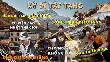 TÂY TẠNG THẬT SỰ THẦN BÍ - Chỉ Ở Đây Mới Có: THIÊN CHÂU| THIÊN DƯỢC| ĐIỂU TÁNG| NGAO YAK