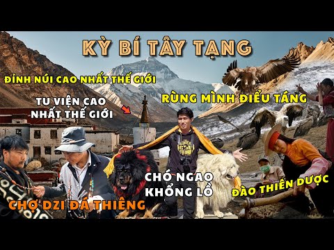 TÂY TẠNG THẬT SỰ THẦN BÍ – Chỉ Ở Đây Mới Có: THIÊN CHÂU| THIÊN DƯỢC| ĐIỂU TÁNG| NGAO YAK mới nhất 2023