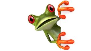 talking frog screenshot 2