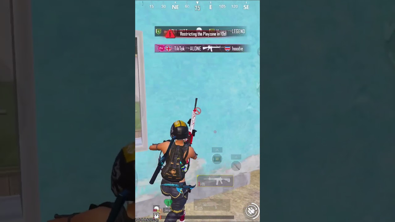 Which gun have High Damage UMP or PP-Bizone ???