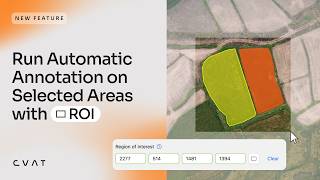 Auto-Label Images and Videos More Precisely with Region of Interest in CVAT
