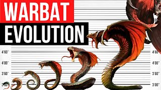 Evolution Of Warbat | Life Cycle