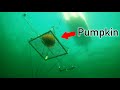 Pumpkin Implosion at 600ft Deep???