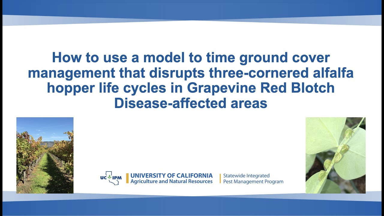How to use a model to time ground cover management that disrupts