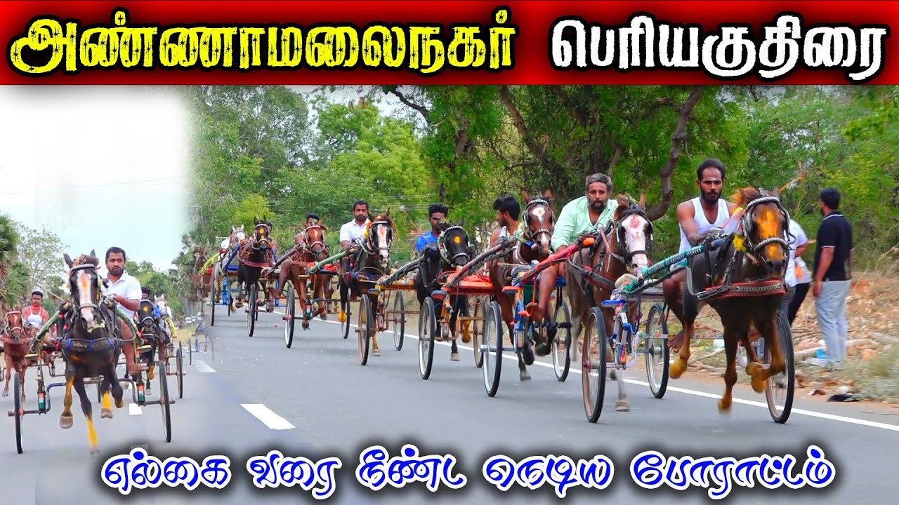 5அண்ணாமலைநகர்-பெரியகுதிரை-பந்தயம்_25.07.2025_OOR_KURUVI2.0