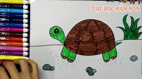 Hướng dẫn cách vẽ CON RÙA - Tô màu con Rùa - How to draw Turtle