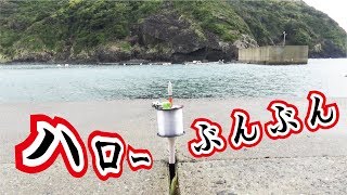 防波堤から箸一本で大物を狙え＃３「ハローぶんぶん釣り」(334話目)