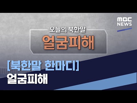 [북한말 한마디] 얼굼피해 (2022.05.14/통일전망대/MBC)