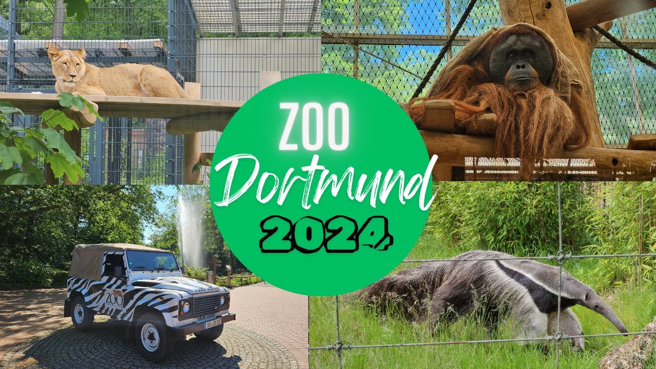 Zoo Dortmund 2024 | Der große Ameisenbär und tolle Tierhäuser | Der Zoo-Geheimtipp im Ruhrgebiet?