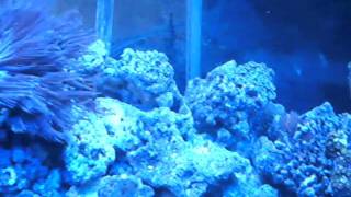 SANY0070.AVI
