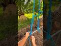 วิธีผูกเชือกดึงของใช้หรือดึงสิ่งของขับรถบรรทุก #tiearope #ดึงเชือก #diy #rope #ต่อเชือก #ผูกเชือก