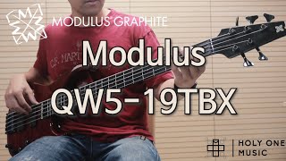 1996 Modulus Quantum QW5-19TBX