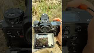 Nikon Z9 заглючил. Вот тебе и надежность.