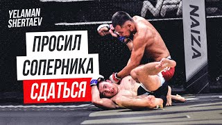 Казахский боец ЗАБИЛ своего соперника! Еламан Шертаев vs Андрей Сколыш | NAIZA 33