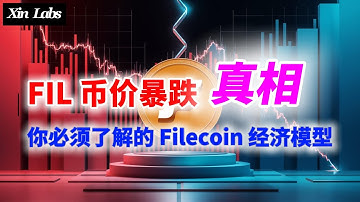 从200美金到地板价，Filecoin币价暴跌真相：你必须了解的FIL经济模型！【去中心化存储系列03】