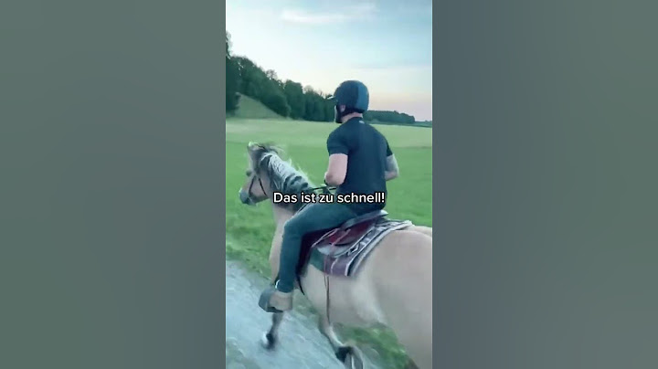 Typisch Nichtreiter, oder? 😂 #riding #reitsport #reiten