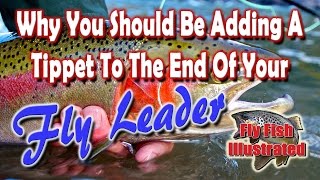 Why You Should Be Adding A Tippet To The End Of Your Fly Leader