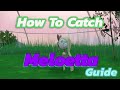 How to Catch &amp; Get Meloetta in The Indigo Disk DLC Secret ( Pokemon Scarlet &amp; Violet )