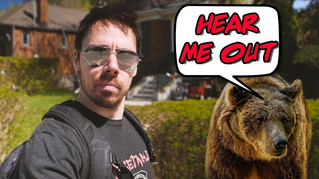 Proof That Animals Can Read Our Minds YouTube Proof That Animals Can Read Our Minds YouTube