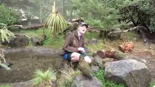 Download Lagu Kea Birds of NZ MP3 Download Lagu Kea Birds of NZ MP3