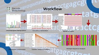 Introduction to Sanger's DNA Sequence Analysis