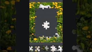 Games. Puzzle.The world of dogs screenshot 2