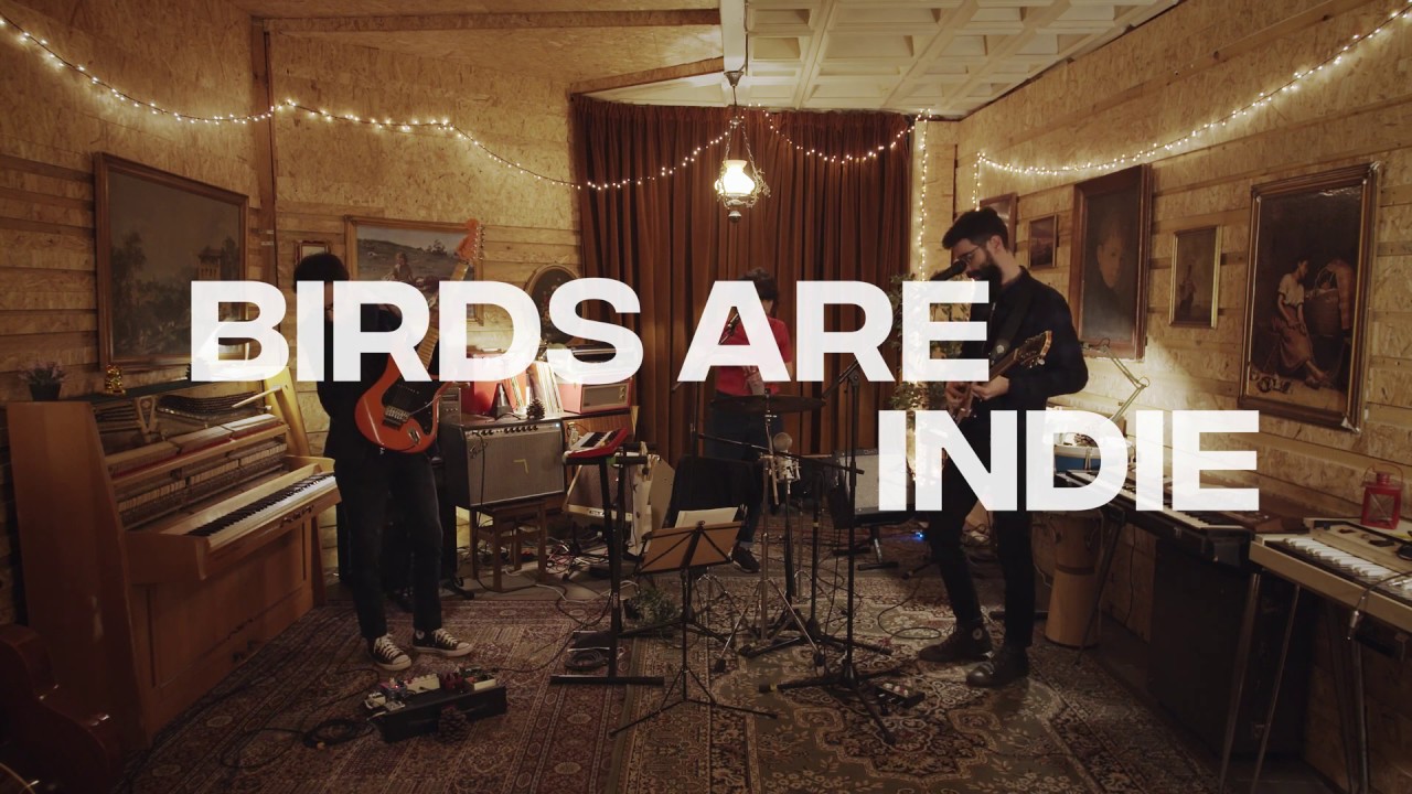 Birds Are Indie | Pinehouse Concerts