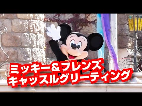 (TwT)v ミッキー＆フレンズのキャッスルグリーティング（2020.10.25 / 14:30回）