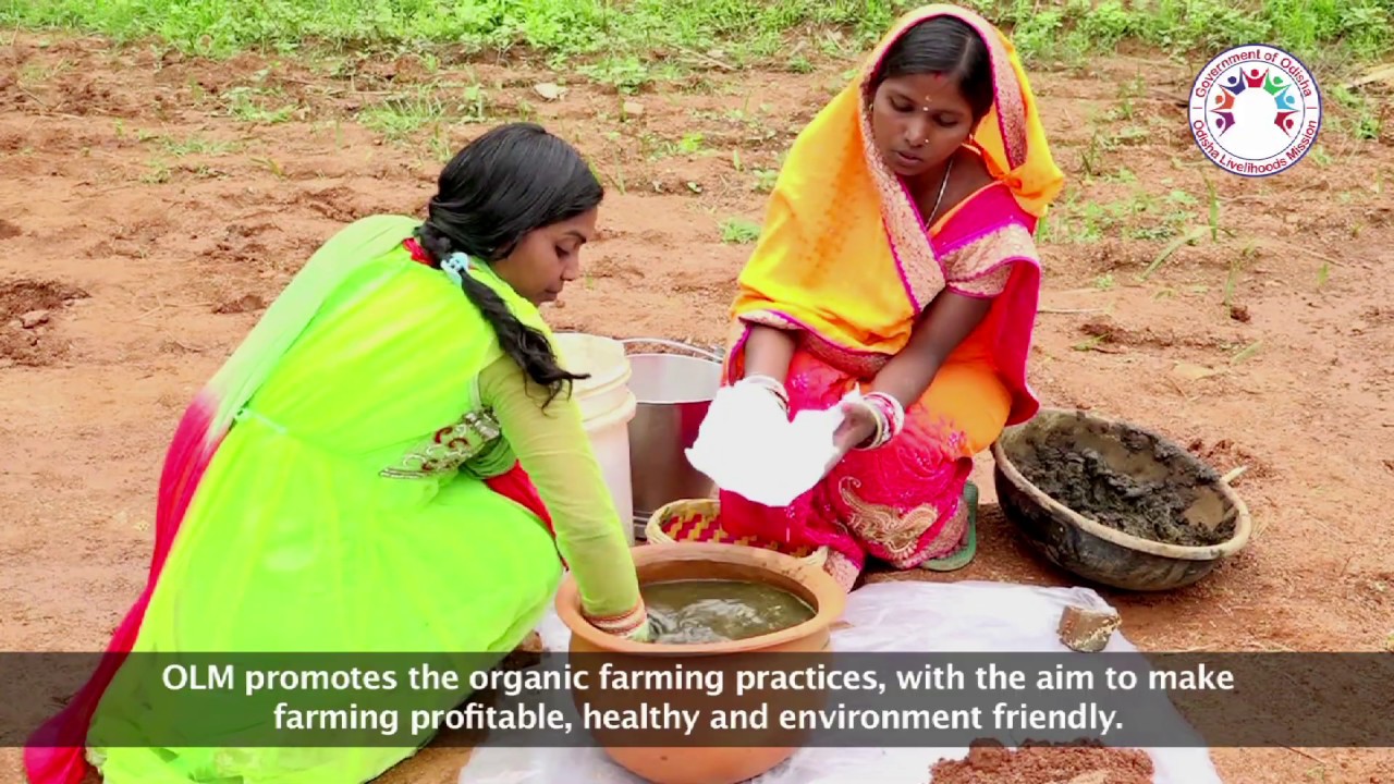 Importance of Organic Farming | (ଜୈବିକ ଚାଷକୁ ଗୁରୁତ୍ୱ ) Odisha Livelihoods Mission