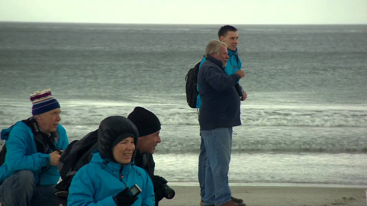 Christian Parkinson Cameraman and Editor Showreel, June 2013