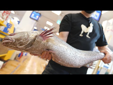 활민어 회뜨기/전라상회/<strong>Live</strong> <strong>Brown</strong> croaker fillet, sashimi ニベ_Korean street food