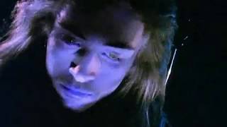 FiELDS of the NEPHiLiM ~ Moonchild (music video)