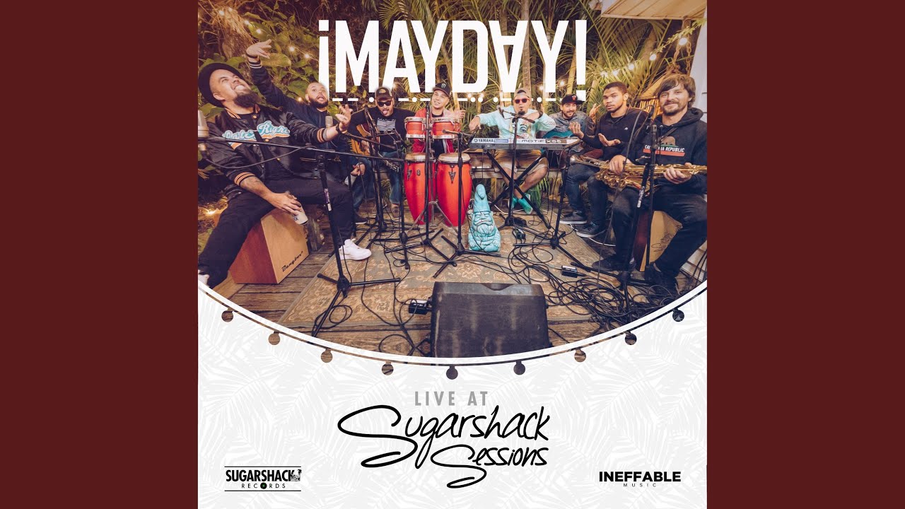 Shelter - Live at Sugarshack Sessions - YouTube
