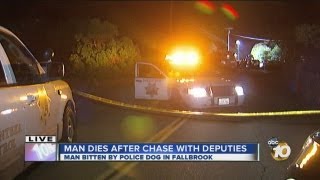Man dies after leading deputies in pursuit