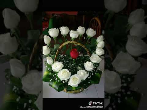 شاهد هذا الفيديو لكي تعرف معنى حبر الاخوة