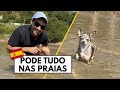 PRIMEIRA VEZ EM UMA PRAIA PRA CACHORRO | Travel and Share