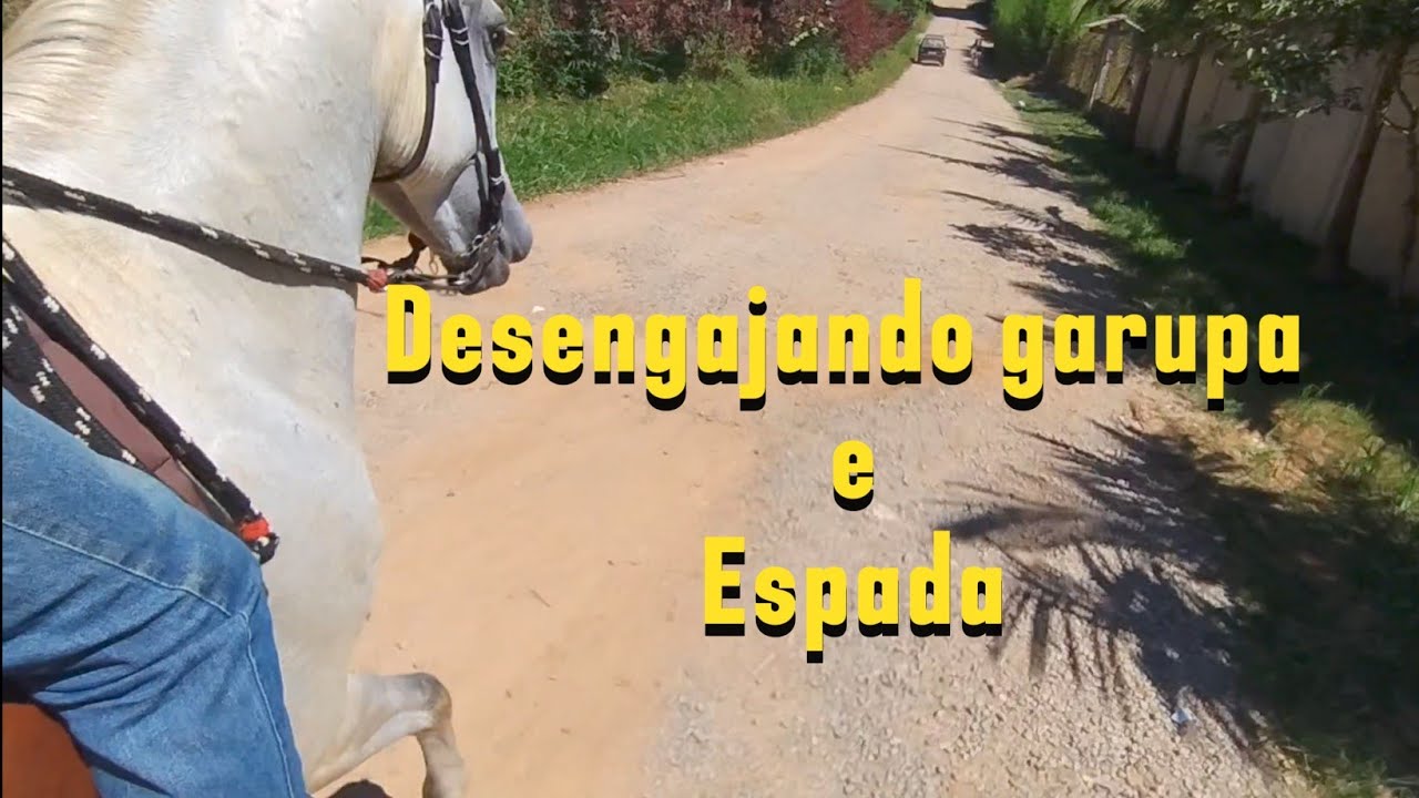 Ensinando cavalo a ladear🐎🚀