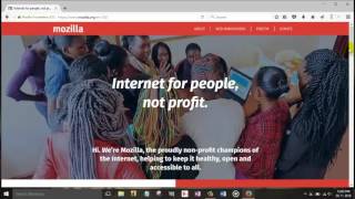 How to take various style webpage screenshot using a tiny browser addons named Fireshot 