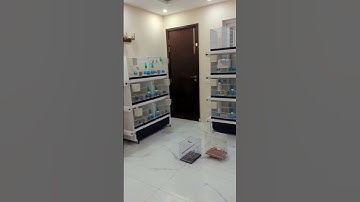 Amazing Gouldian Finch setup worth millions 💸😱