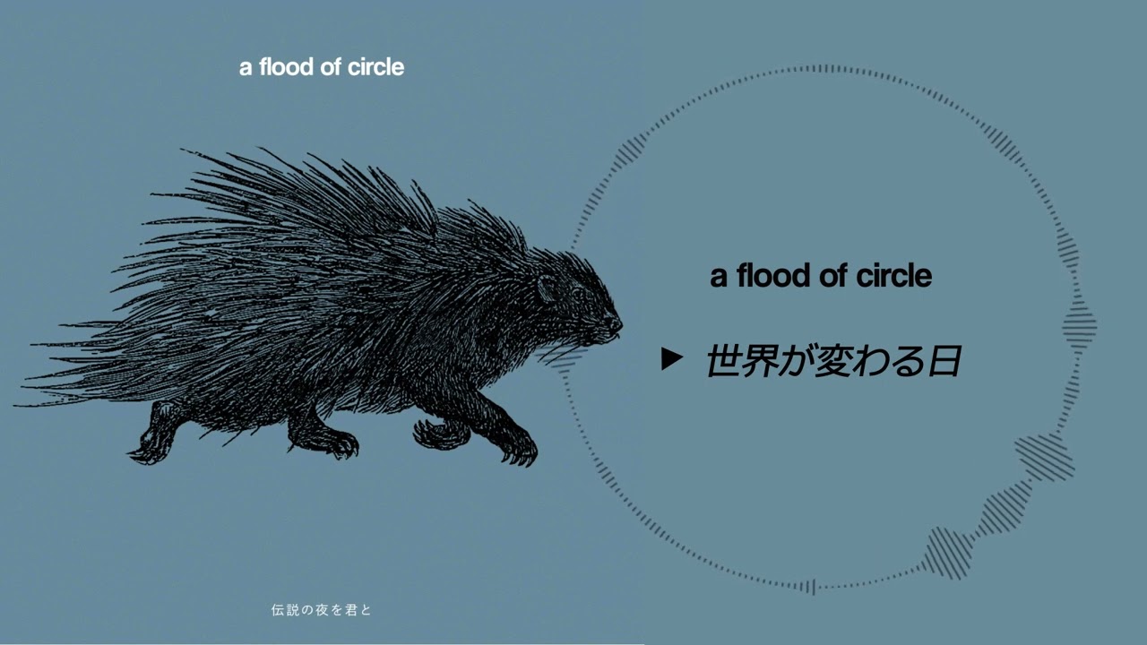 世界が変わる日 - a flood of circle - YouTube