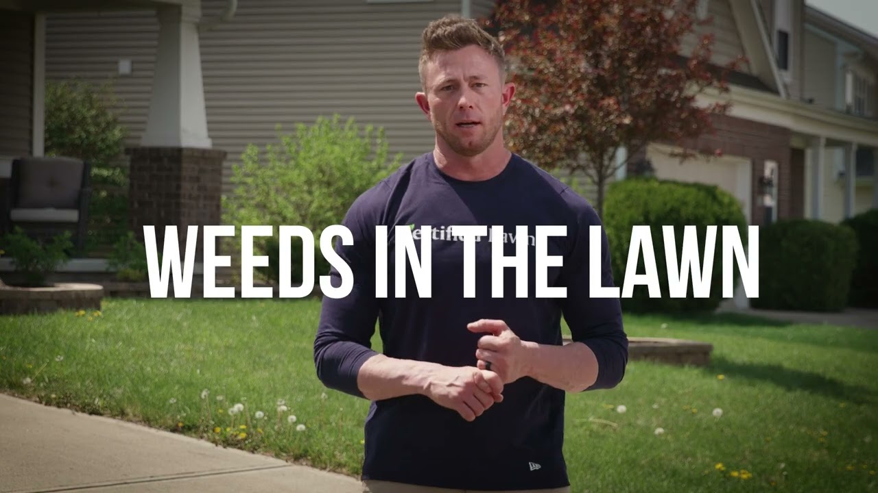 Certified Lawns: Get Your Dream Lawn with Certified Lawns' 7-Step Treatment Plan.