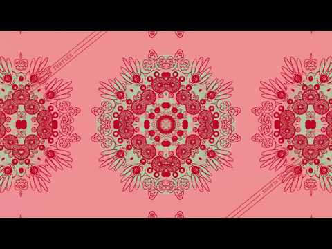 Trampled By Turtles - "Blood in the Water" - Official Video