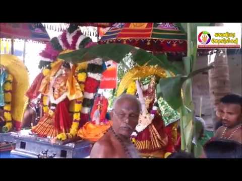   வவுனியா இறம்பைக்குளம் ஸ்ரீ கருமாரி நாகபூசணி அம்பாள் தீர்த்தோற்சவம்!(படங்கள்,வீடியோ)