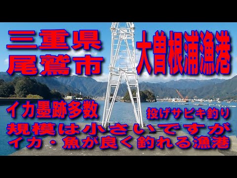 #132三重県尾鷲市大曽根浦漁港有名アオリイカ釣り波止イカ墨跡多数良く釣れる漁港E42熊野尾鷲道路無料区間尾鷲南パーキング尾鷲南ICサビキかごにアミエビ入れてただただ海に向かって投げる大物が釣れる
