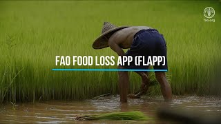 Fao Food Loss App - Flapp