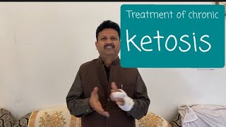 Queries Regarding Chronic Ketosis In Cow। diagnosis, symptoms, treatment।Dr.Umar khan