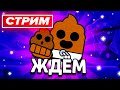 🔔 ЖДЁМ СКИНЫ - СТРИМ ПО BRAWL STARS - СТРИМ / Бравл Старс - концепт